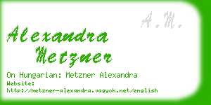 alexandra metzner business card